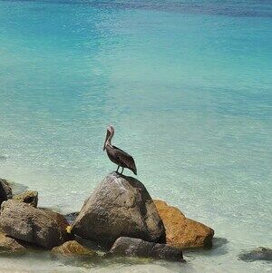 Meet your Posher, Maryanna